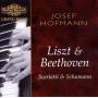 Josef Hofmann - Hofmann Plays Liszt+Beethoven