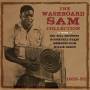 Washboard Sam - The Washboard Sam Collection 1935-53