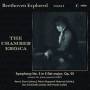 Peter Sheppard-Skaerved - Beethoven Explored Vol.6