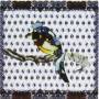 Sarah White - Bluebird