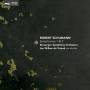 Stavanger Symphony Orchestra & Jan Willem De Vrien - Schumann Symphonies 1 & 2