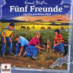 Fnf Freunde - Folge 164: und das gestohlene Pferd