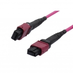 Synergy 21 Kabel, Dosen, Etc. - Cable de conexin LWL-MTP-hembra OM4 LowLoss (ELite), 12 fibras, tipo B cruzado, negro violeta, 0,5 m, Synergy 21, 
