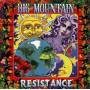 Big Mountain - Resistance