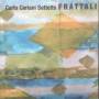 Carlo Settetto Ceriani - Frattali