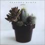 Rebecca Riots - Gardener