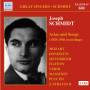 Joseph Schmidt - Arien Und Lieder (1929-1936)