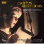 Les Petits Chanteurs De Sainte-croix De - Cantus Angelicus