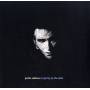 Justin Sullivan - Navigating By The Stars (180g/Gatefold)