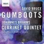 Julian Bliss / Carducci String Quartet - Gumboots/Klarinettenquintett op.115