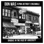 Don Was - Groove in the Face of Adversity