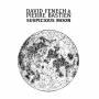 David Fenech & Pierre Bastien - Suspicious Moon