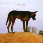 Fenin - Grounded