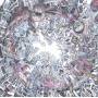 Shackleton / Ernesto Tomasini - Devotional Songs