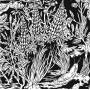 Eternal Tapestry - Wild Strawberries