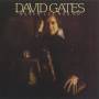 David Gates - Never Let Her Go