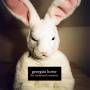 Georgias Horse - The Mammoth Session