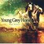 Young Grey Horse - The Vibez