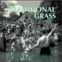 Traditional Grass - I Blelieve