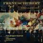 Peter Sheppard Skrved / Julian Perkins - Franz Schubert: 3 Sonatas (1816)