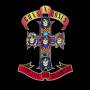 Guns N Roses - Appetite For Destruction
