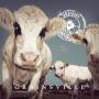 Steve 'n' Seagulls - Grainsville (Mintpak)