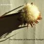 Kitzke - Character Of American Sunlight