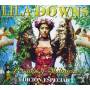 lila Downs - Pecados Y Milagros