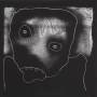 Echo Collective - Plays Amnesiac