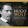 Steinberger, Selinger, Holzmair, Ryan, Beckmann - Wolf: Spanish Songbook/Italian Songbook