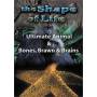 Shape Of Life 4: Ultimate Animal & Bones - Shape Of Life 4: Ultimate Animal & Bones [US-Version, Regio 1]