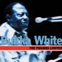 Bukka White - Panama Limited