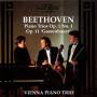 Vienna Piano Trio - Klaviertrios op.1 1