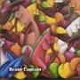 Brave Captain - Nothing Lasts He Sang Only The Earth & Mountains
