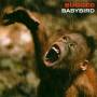 Babybird - BUGGED