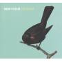 Euan Stevenson / Konrad Wiszniewski - New Focus On Song