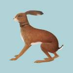 vashti Bunyan - Lookaftering - Expanded Edition (2LP)