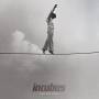 Incubus - If not Now, When?