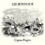 lee Ritenour - Captain Fingers