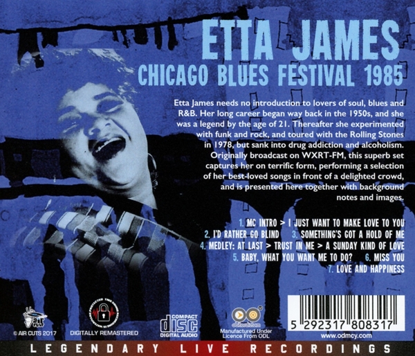 Chicago Blues Festival 1