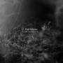 Paul Schtze - The Second Law (Remastered Clear Vinyl)
