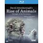 David Attenborough - David Attenborough's Rise Of Animals: Triumph Of T [Regio free (0)]