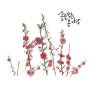Solsolspringwind - Spring Has Come
