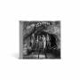 Aerosmith - Night In The Ruts (1CD)