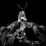 Les Marquises - A Night Full Of Collapses