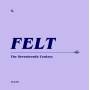 Felt - The Seventeenth Century (Remastered CD+7 Box)