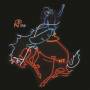 Various - Wayfaring Strangers: Cosmic American Music (Col VI