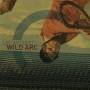 Weisert / Yang / Mcclure - Wild Arc