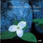 Claire David - Meditation pour Cithares