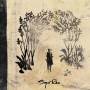 Sigur Rs - Takk...
